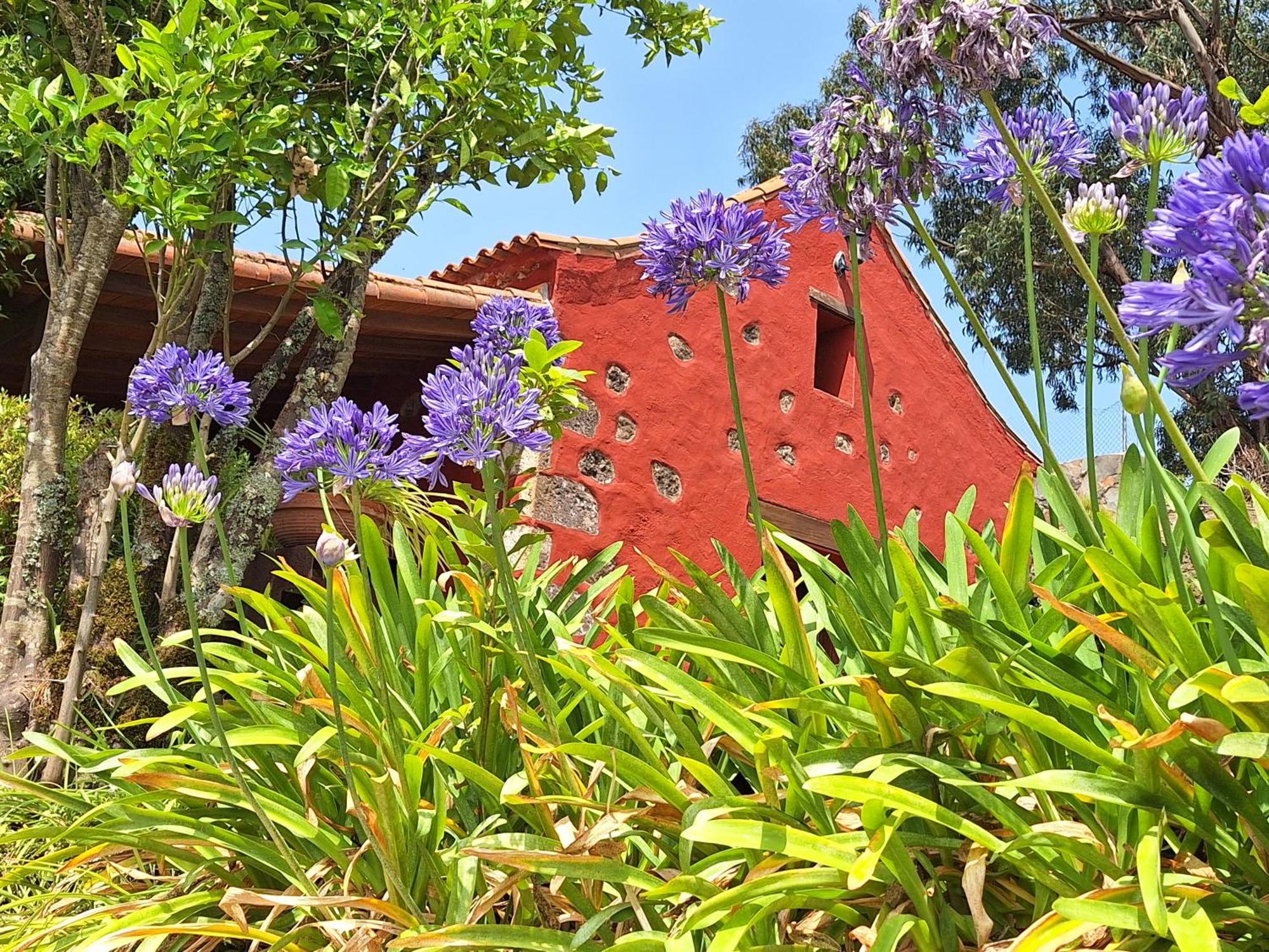 Casa Rural Con Piscina Privada El Roble Мойя Экстерьер фото